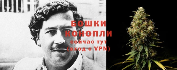 мет Гусев