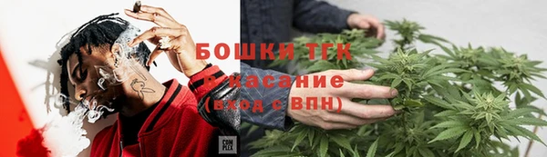 экстази Гусь-Хрустальный